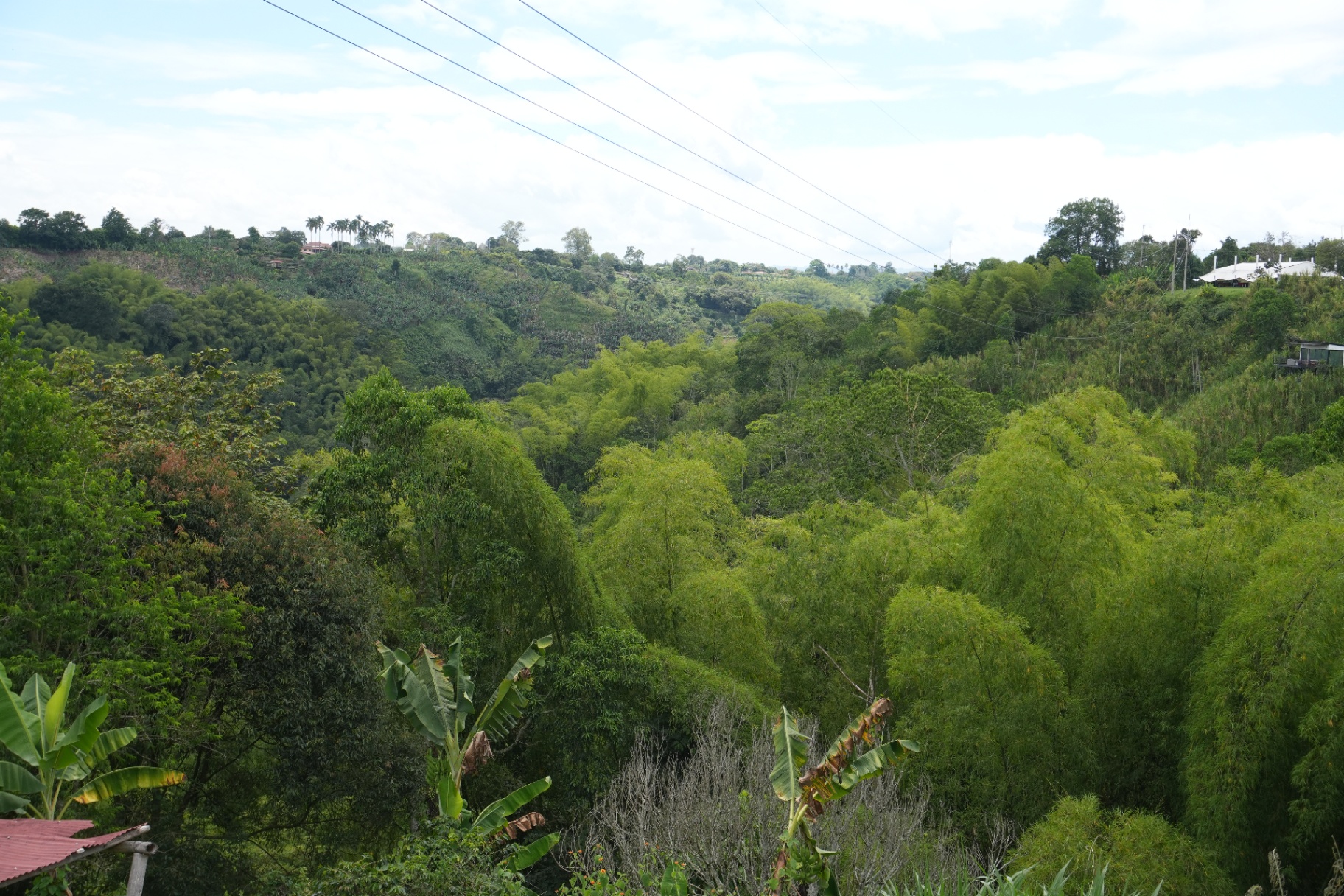 Vista panorámica del valle